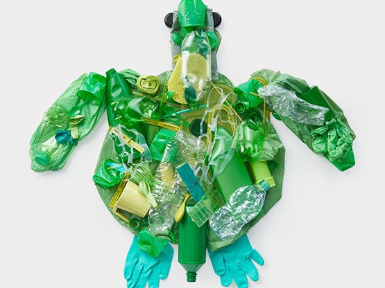 plastic in the sea -How to stop plastic pollution in the ocean